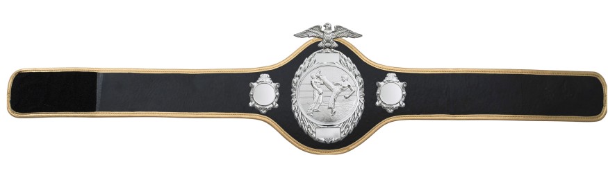 KICKBOXING CHAMPIONSHIP BELT-PRO288/S/KBOS - 10 COLOURS
